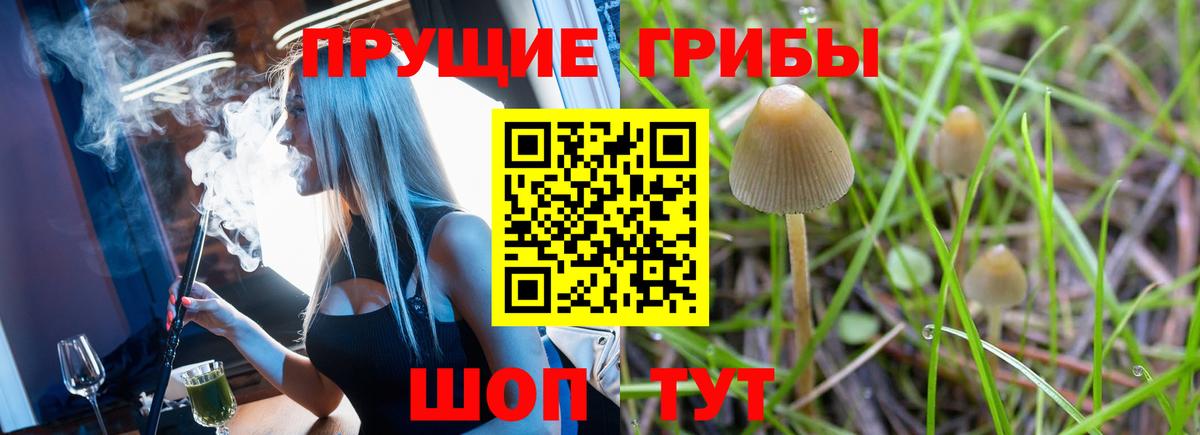 Рязань  Псилоцибиновые грибы прущие грибы  Вход с VPN  Галлюциногенные грибы Magic Shrooms 